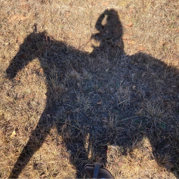 Meet your Posher, Trinity - Picture 2 of 4